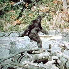 Do u believe Bigfoot is real? Or a hoax?