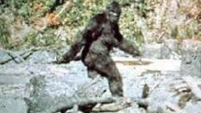 Do u believe Bigfoot is real? Or a hoax?