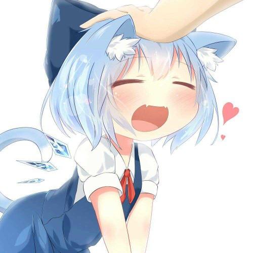 Do you like when people pat your head?