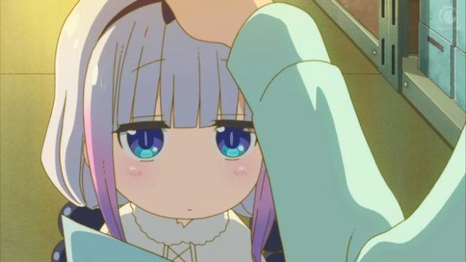 Do you like when people pat your head?