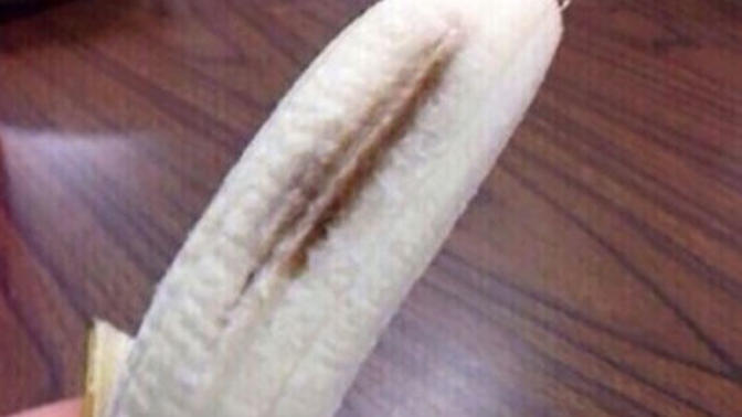 Do you think oral sex is gross?
