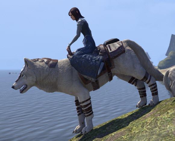 Which steed would you ride into battle?