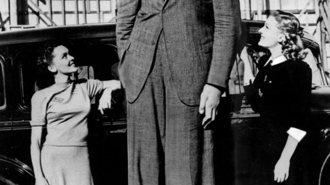 Why are most tall people so fat?