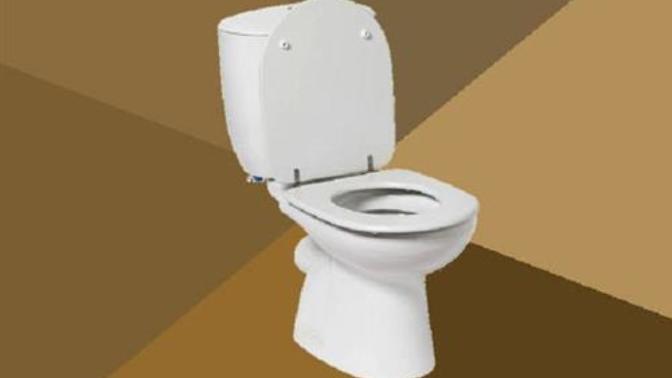 Do you shut your ears when you flush the toilet at night?