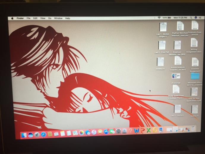What does your computer desktop look like?