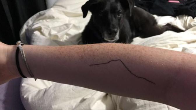What do you honestly think of my tattoo?