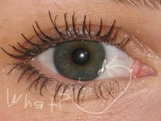 what is my eye color?