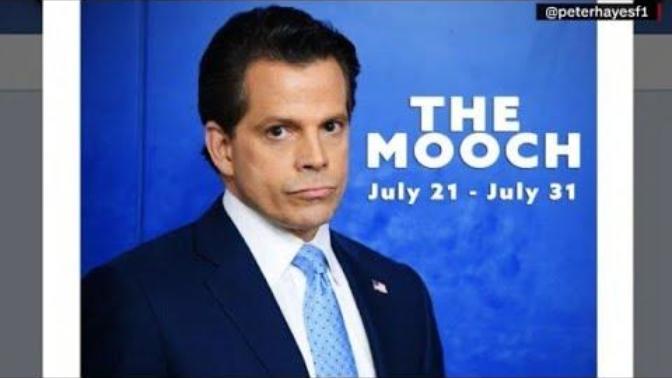 Is America teasing the Mootch too much since the Don fired him & would someone like Kid Rock be better to restore dignity back into the White House?