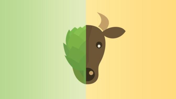 Why are you a vegetarian or vegan, if you are one?