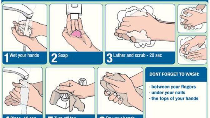 Only 66% of Americans wash their hands and only 30% wash their hands using soap and only 5 percent wash their hands properly, how do you feel?