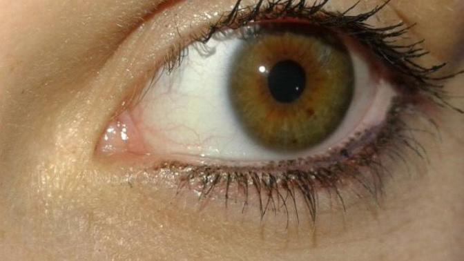What eye color is this? Brown/hazel? 🤷‍♀️?