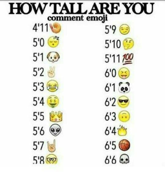 How Tall Are You ??