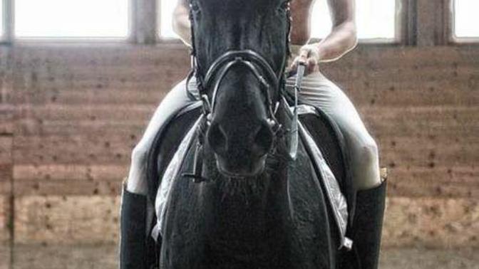 Girls, do you find guys who rides horses attractive?