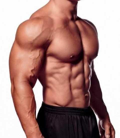 Favorite Guys Body Type??