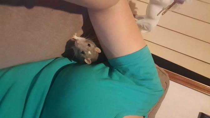 My pet and the impact it has on me?