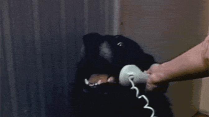 Would you allow a complete stranger to use your mobile phone?