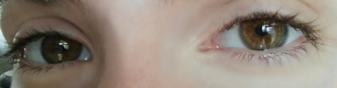 Well whic tone of brown that my eyes are?