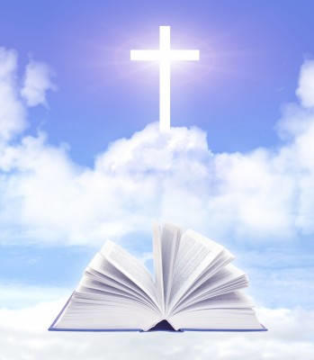 Professing Christians do you really believe the Holy Bible is 100% God's infallible word?