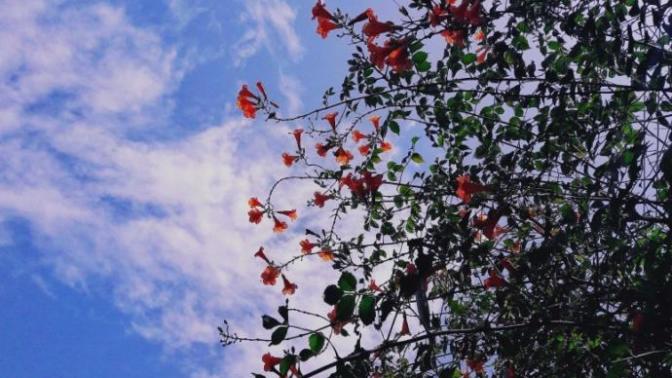 What do you think of my photography?