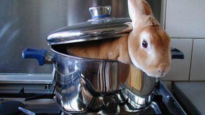 Anyone ever date a Bunny Boiler?