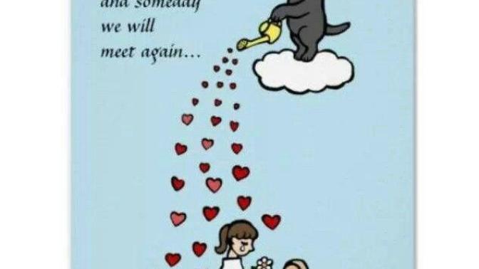 Is it normal to feel this way?