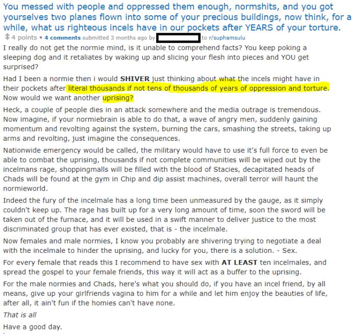 What do you think of an "Incel Uprising"?