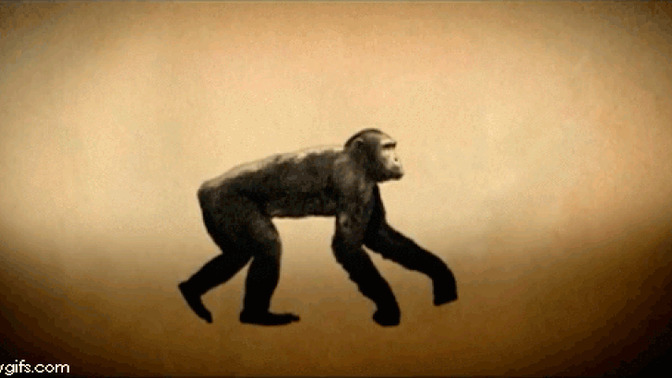 What do you think about evolution?