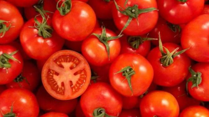 Do you like tomatoes?