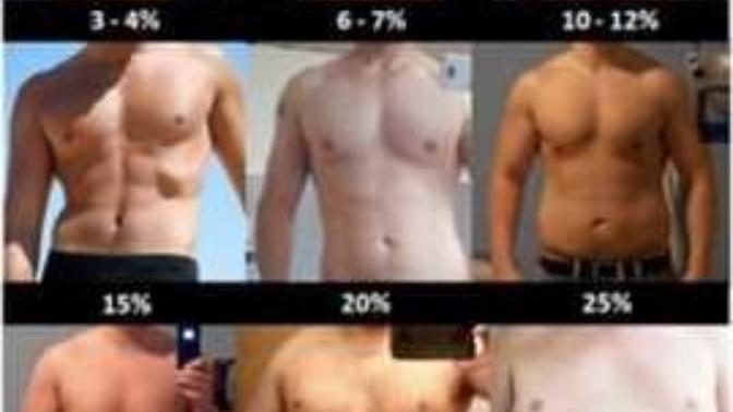 What's you favorite male body type?