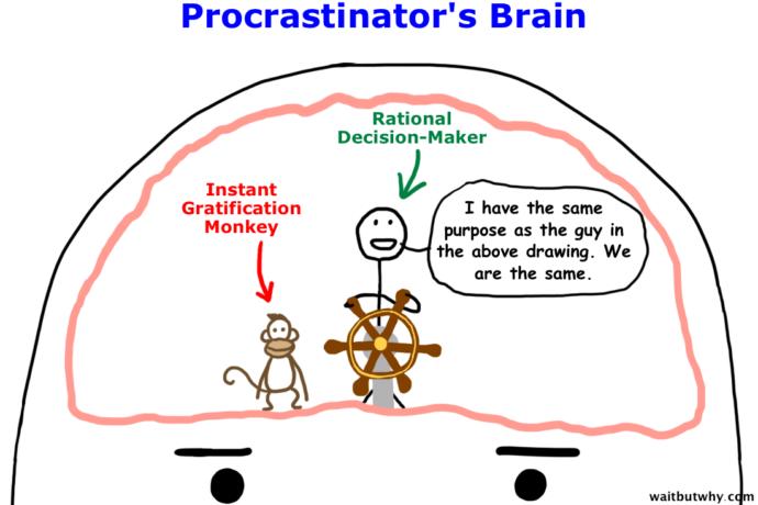 Are you a procrastinator or rational decision-maker?