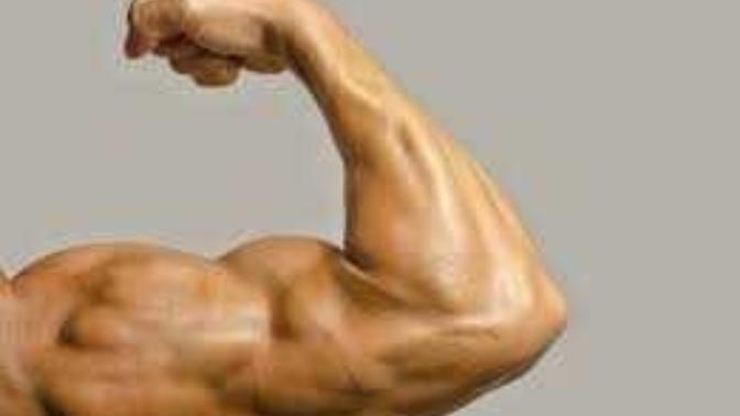 What's the most attractive muscle on a guy?
