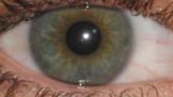 What is my eye color?