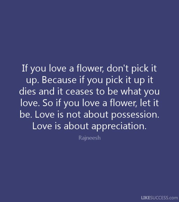 What is more appropriate, "to love someone enough to let her go" or "to love someone enough to never let her go"?