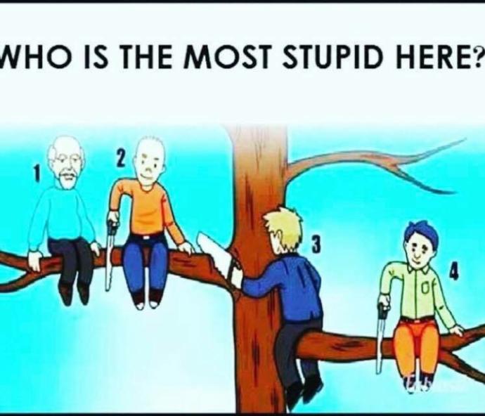Who's the biggest idiot?