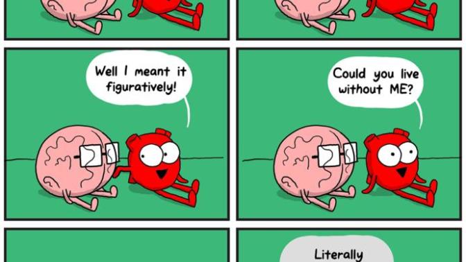 How do you describe the complementation of your heart (emotions&feelings) and brain (logical thinking) in managing your life?
