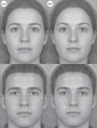 Which one is more attractive? A or B?