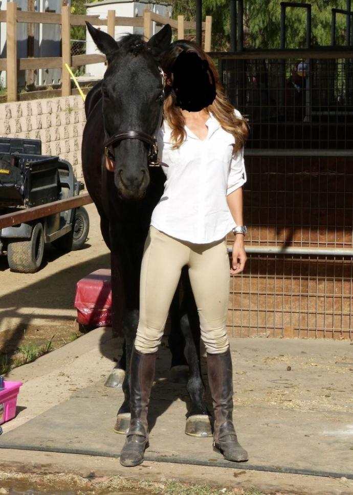 Guys, do guys like jodhpurs and why ?