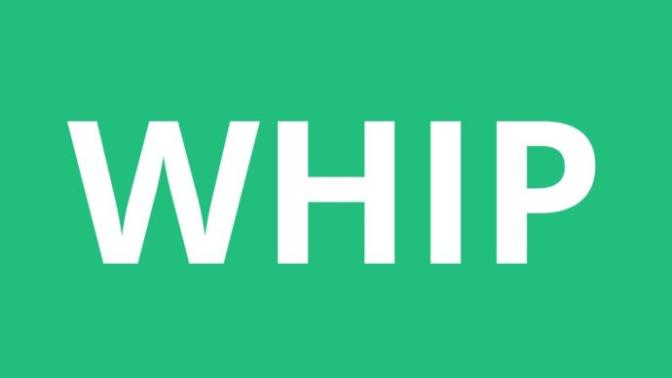 The term MILF is being replaced with the new acronym WHIP - what's your take on this?