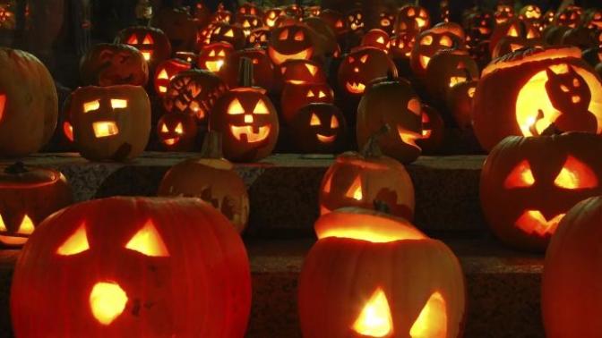 Which Halloween costumes are your favorites, and do you prefer scary, cute or sexy?