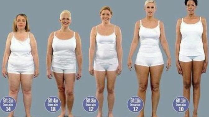 Do you understand body types?