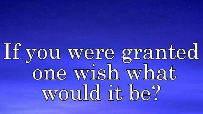 If you were granted ONE wish to improve your life - what would it be?