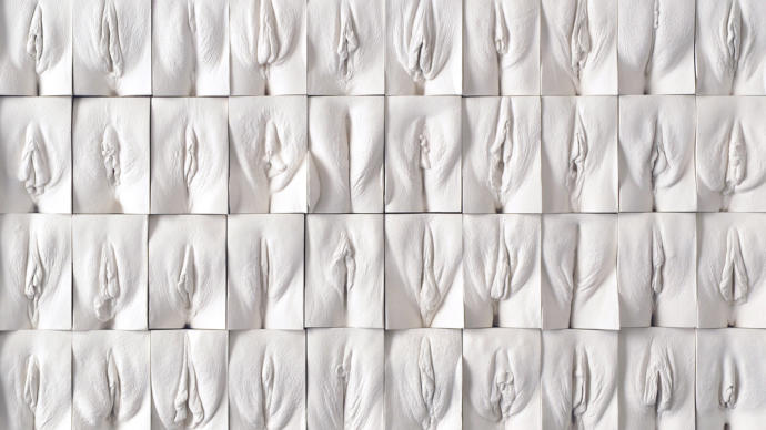 On a scale from 1-10 how much you like vulvas?