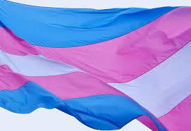 Transgender your thoughts and opinions?