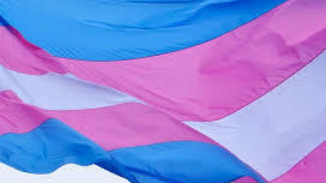 Transgender your thoughts and opinions?