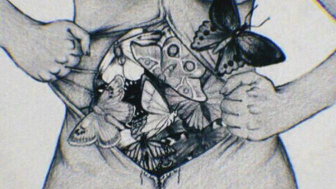 When was the last time you felt butterflies in your stomach and what was the cause of it?