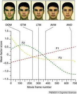Girls, which face is most attractive? 