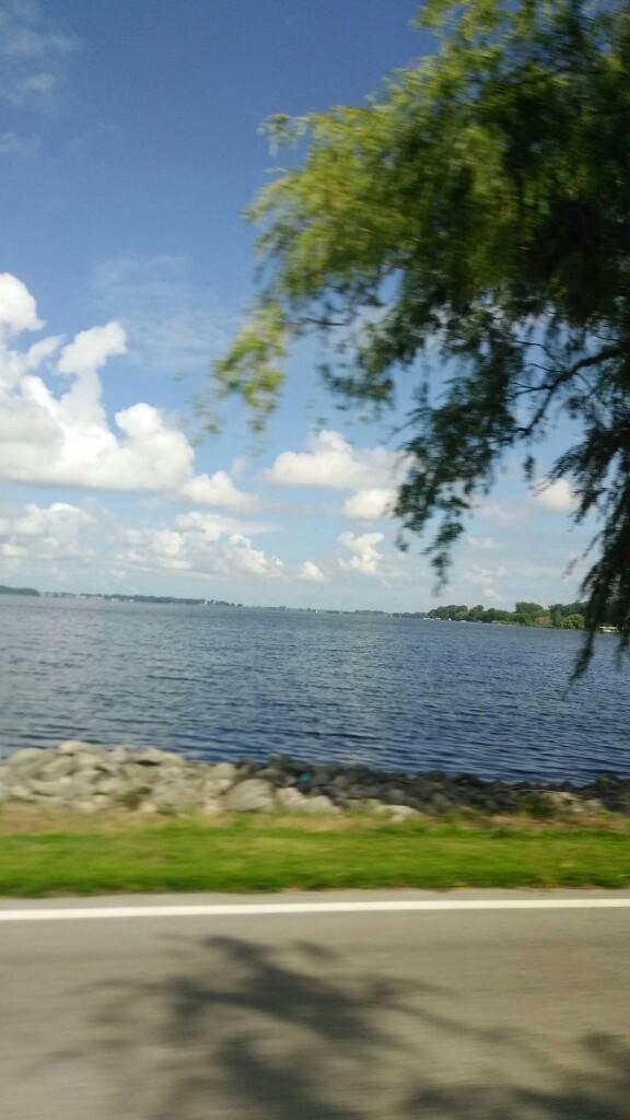 I want an honest opinion on my photography skills?