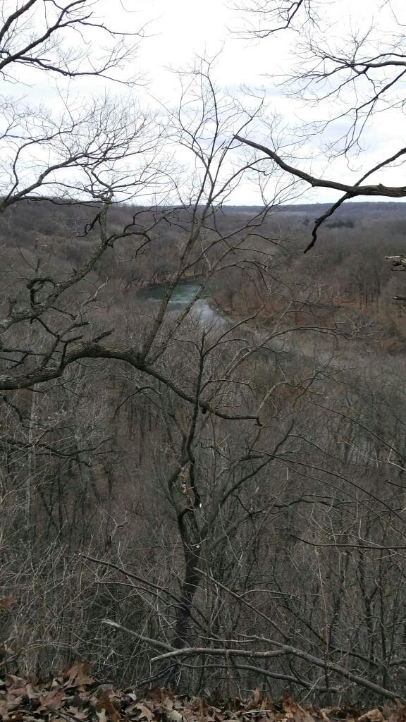 I want an honest opinion on my photography skills?