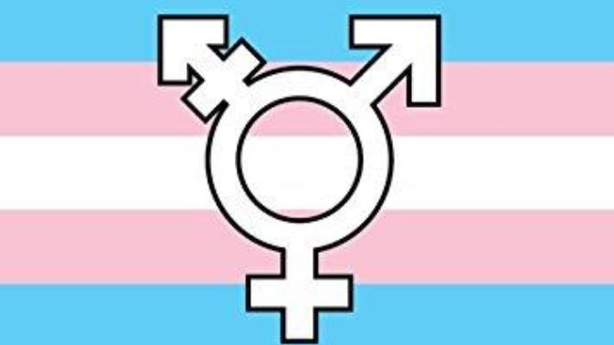 Would you date a trans girl?