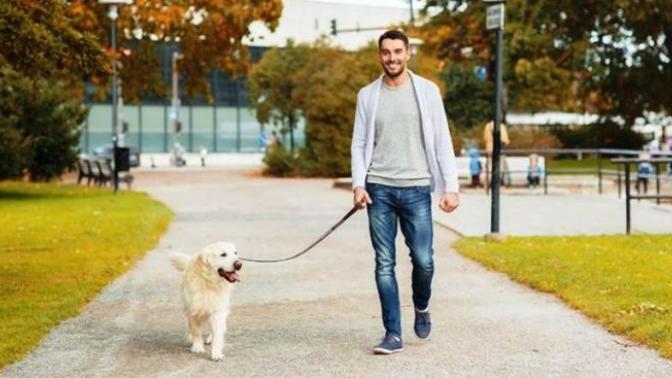 Why are many good men single?